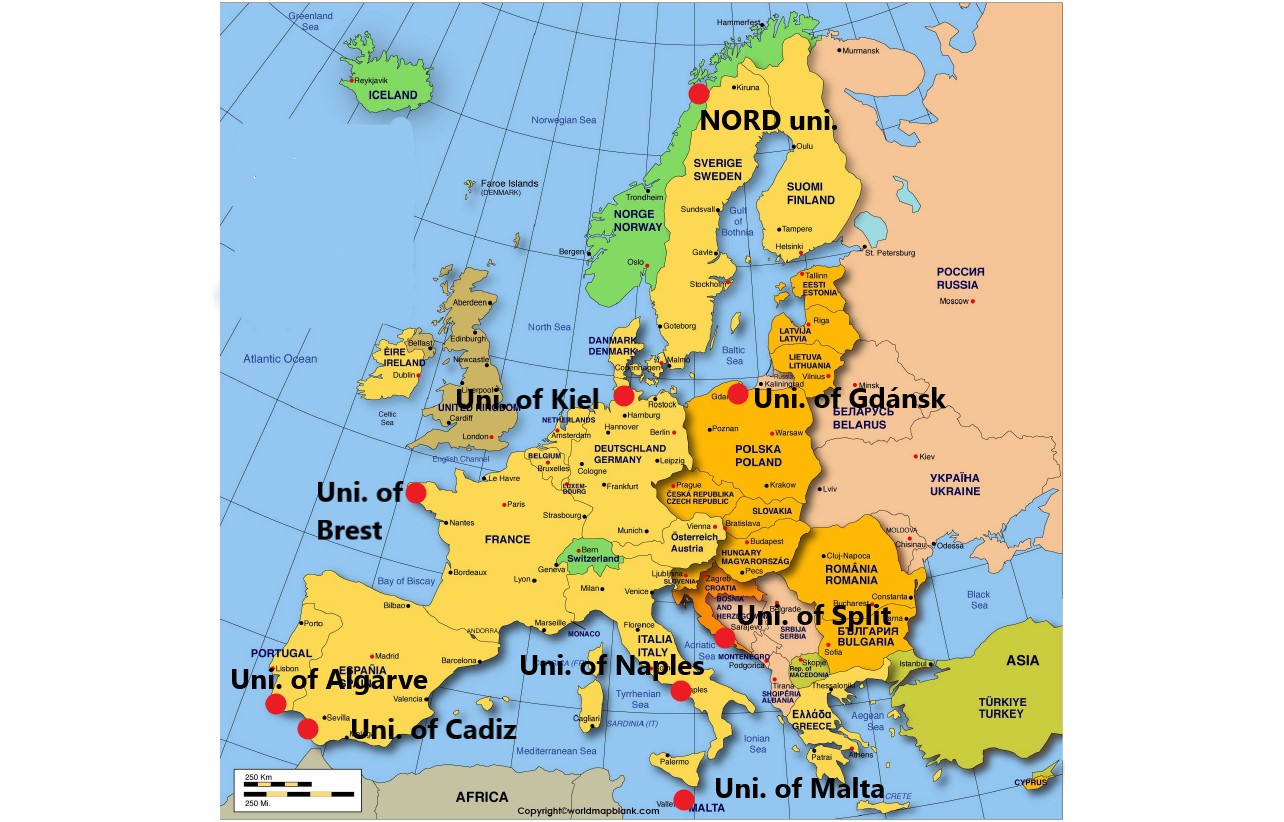 Local, National and International Collaborations to Transform Education for Sustainability